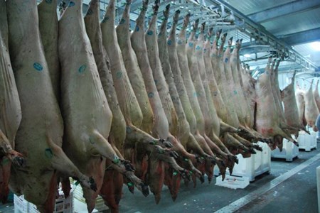 Índia abre mercado para importação de carne suína do Brasil