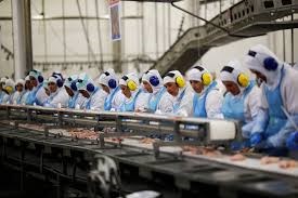 Russia irá retomar importação de carne brasileira após 1 ano de embargo