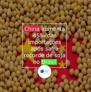 China aumenta 45% das importações após safra recorde de soja no Brasil